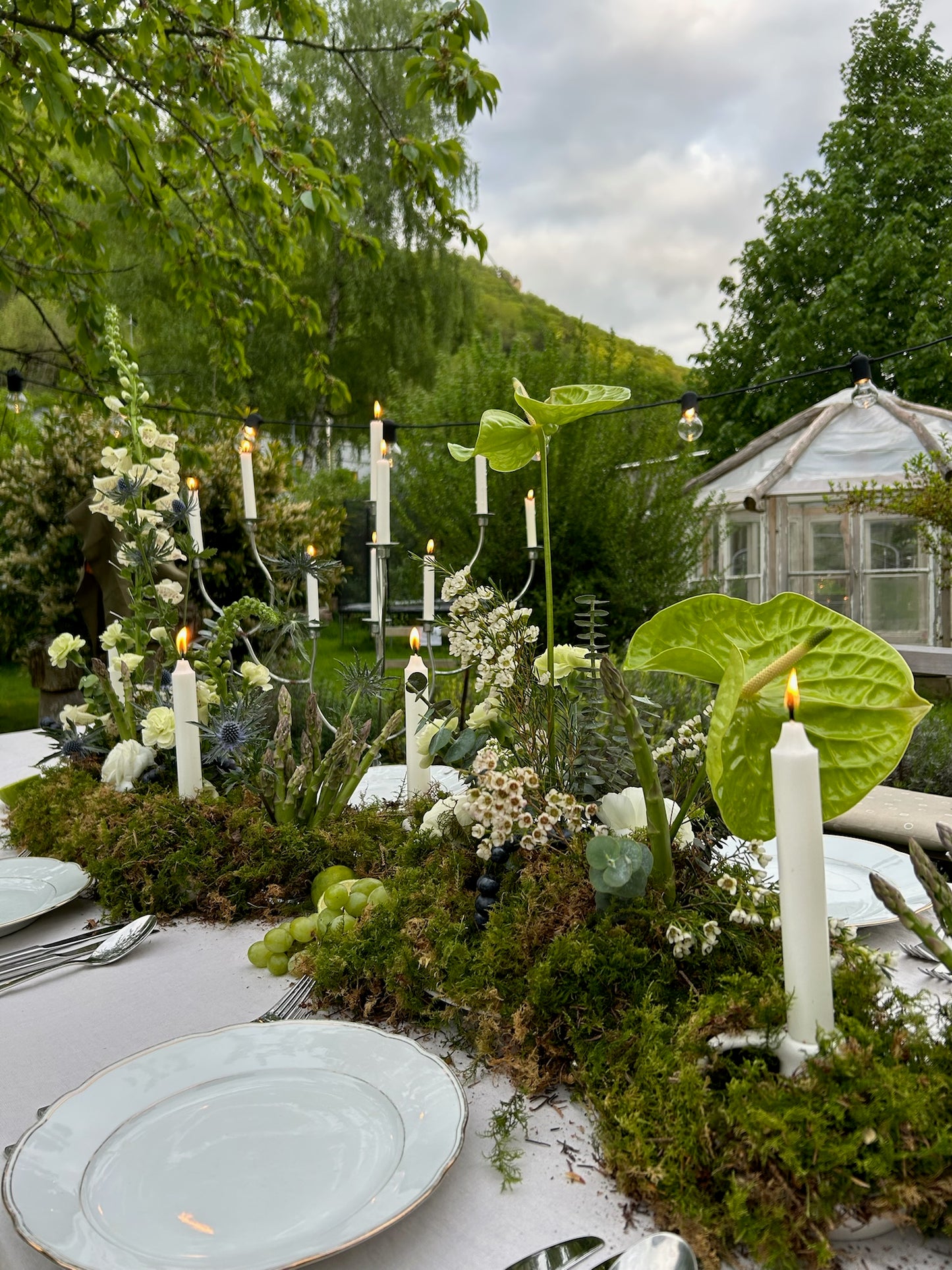 Exclusive Dinner "Colours of Garden"