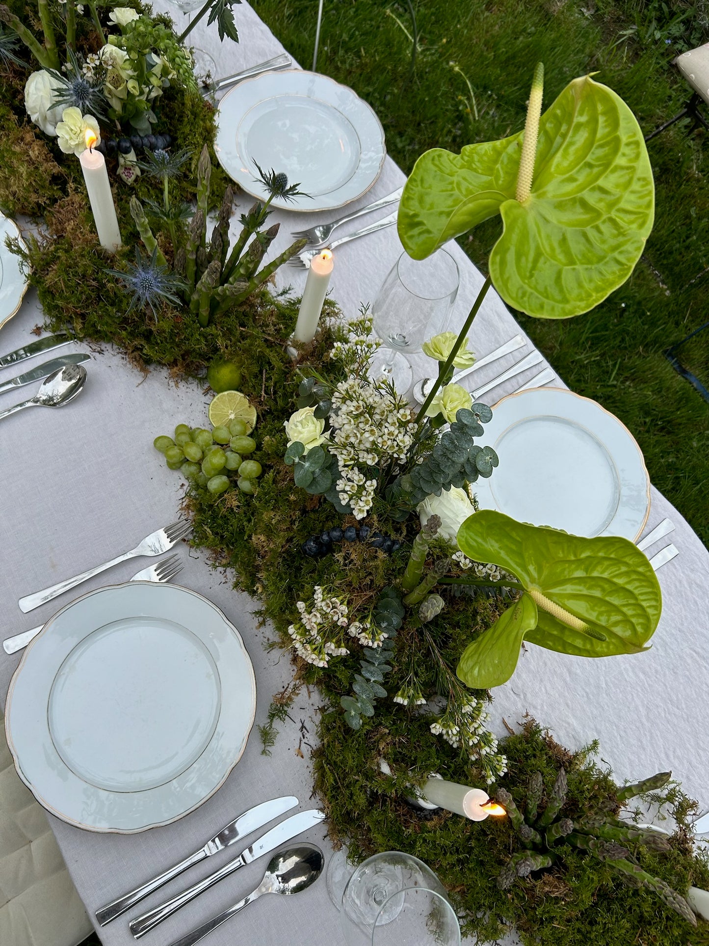 Exclusive Dinner "Colours of Garden"
