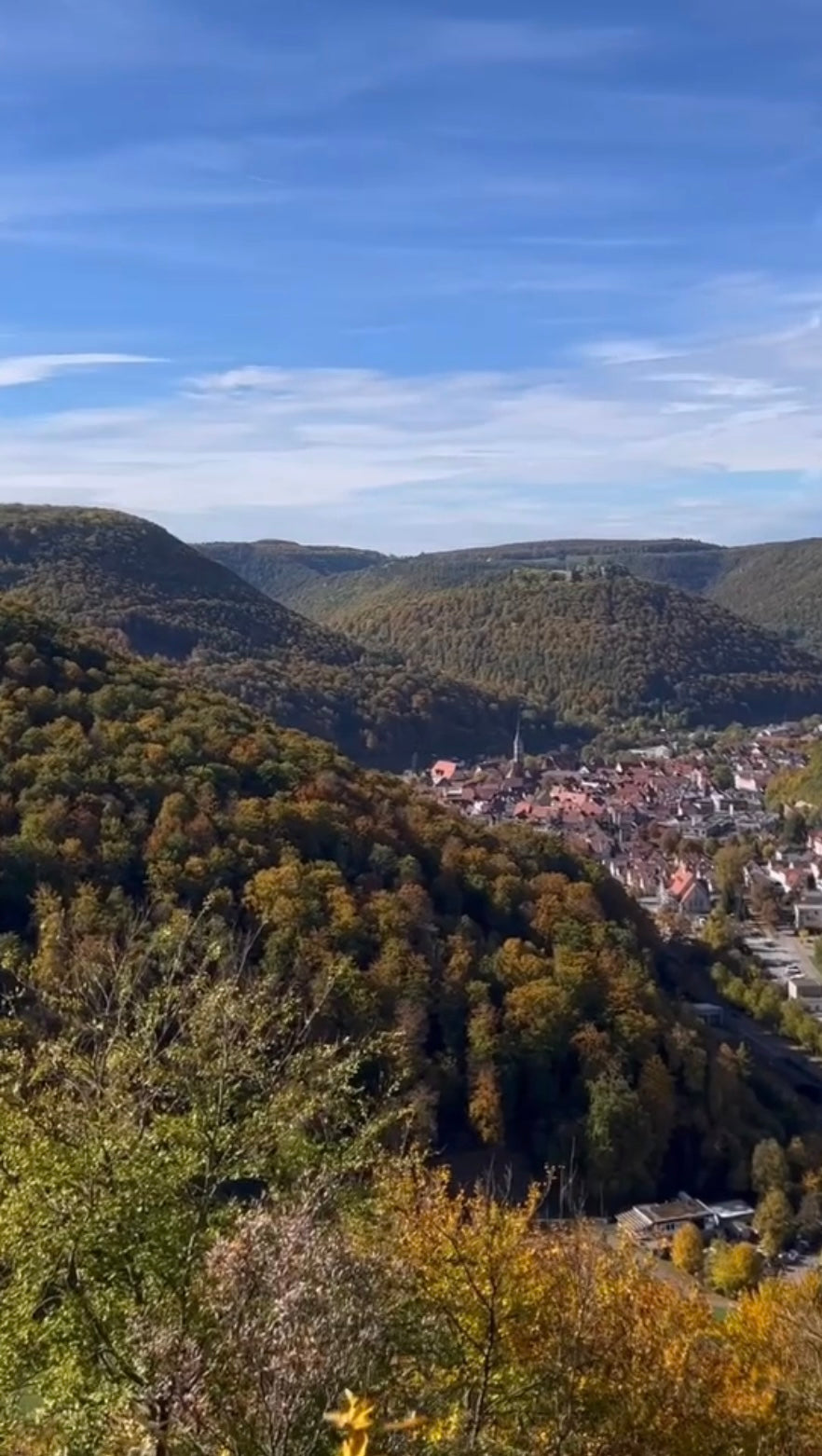 Grazing-Wanderung mit Meettheswabians