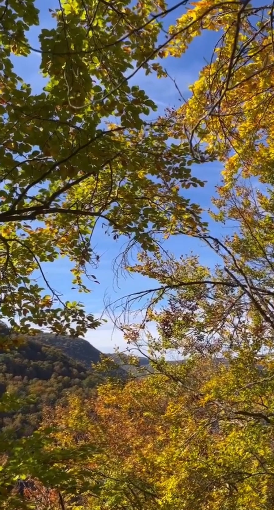 Grazing-Wanderung mit Meettheswabians