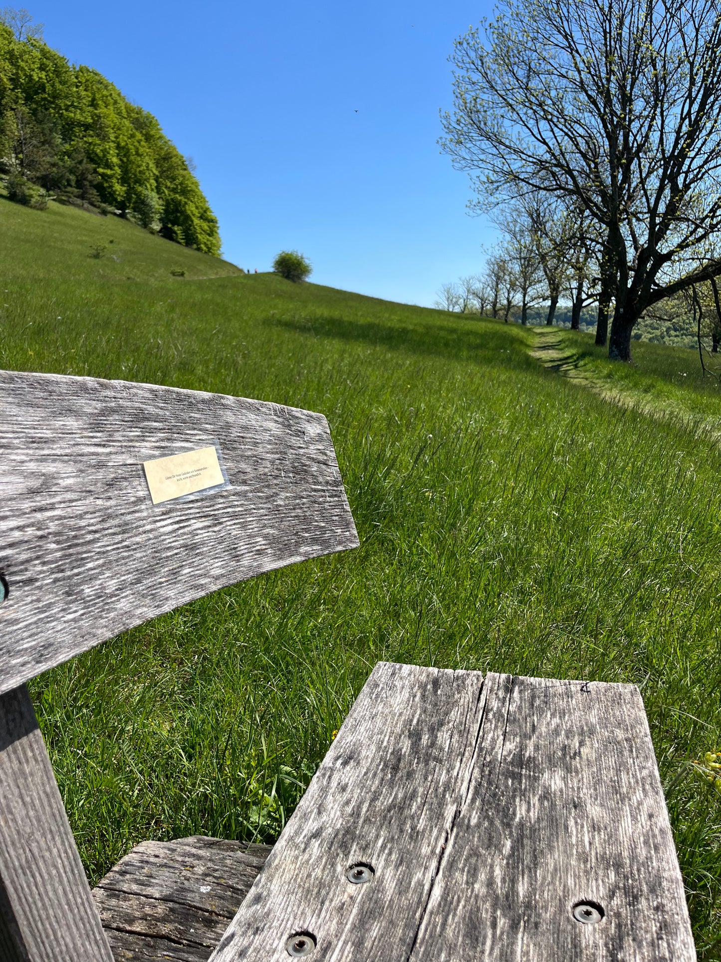 Grazing-Wanderung mit Meettheswabians